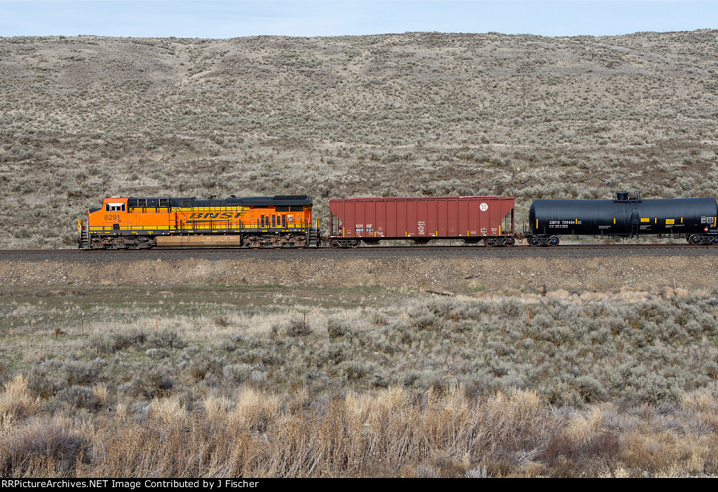 BNSF 8291